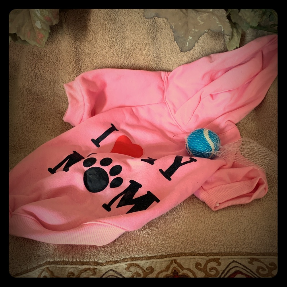 Doggie Hoodie
